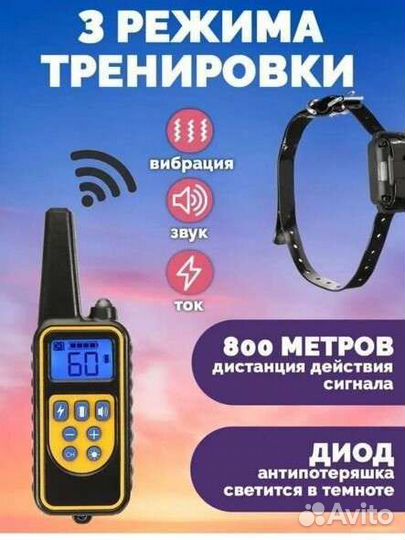 Ошейник для дресировки собак