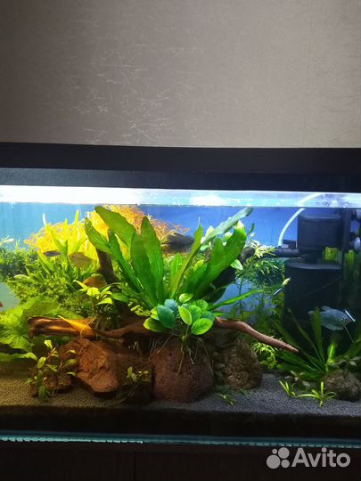 Аквариум с тумбой
