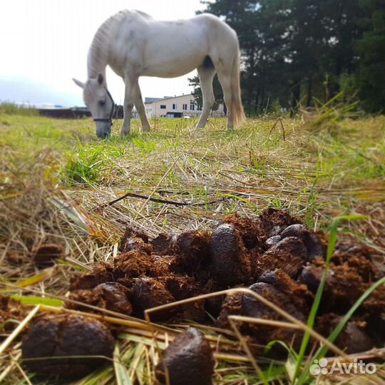 Навоз конский в мешках