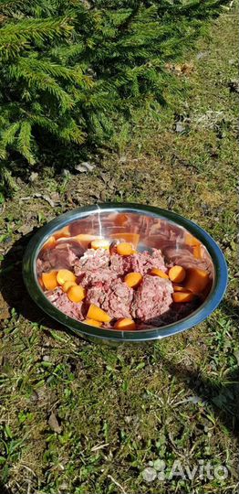 Лучший говяжий фарш для собак натуралка мясо