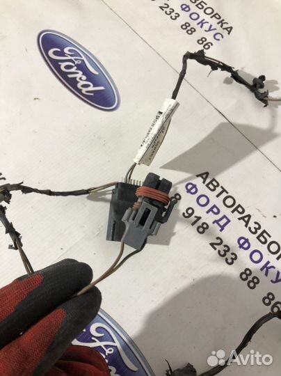 Провода птф с дефектом форд фокус 3