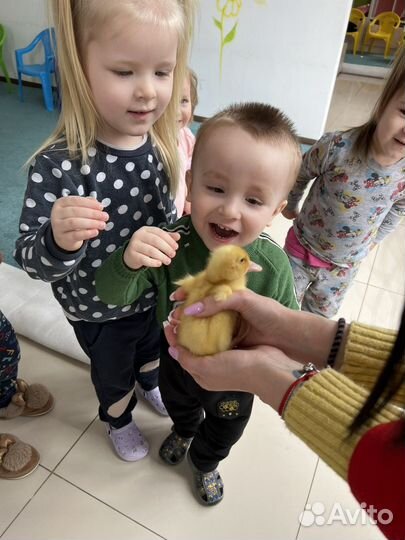 Детский сад Бытха + дет лагерь 1-2 классы