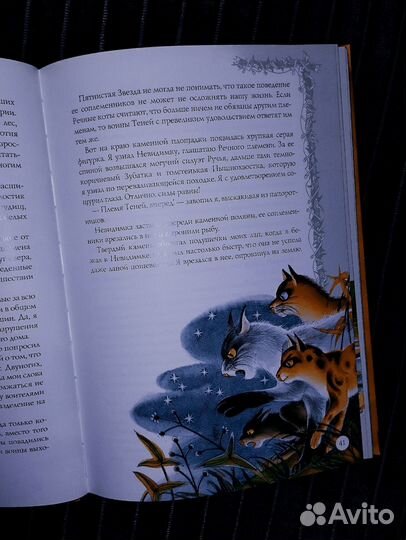 Коты-воители-Золотая коллекция+Путеводители