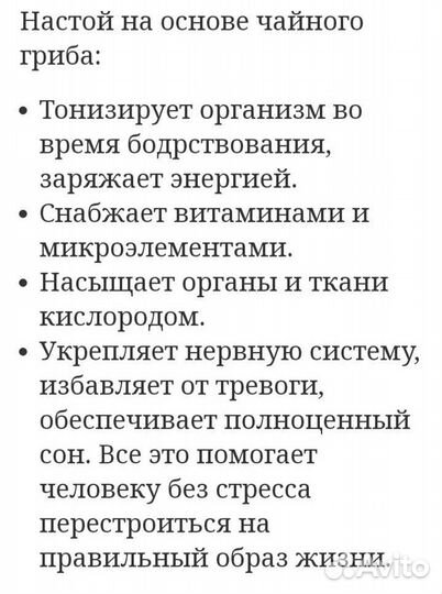 Чайный гриб