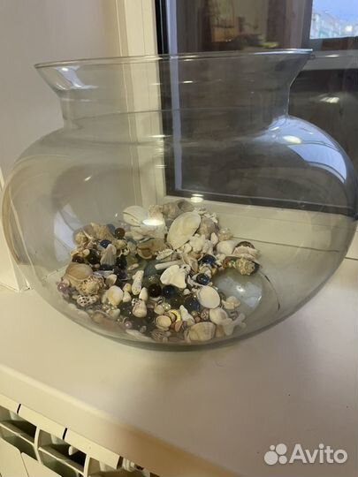 Аквариум с ракушкамм