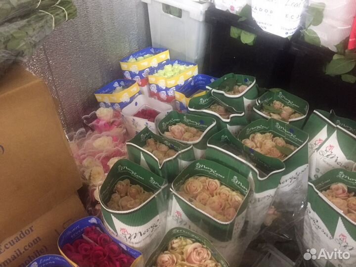 Розы оптом и в розницу