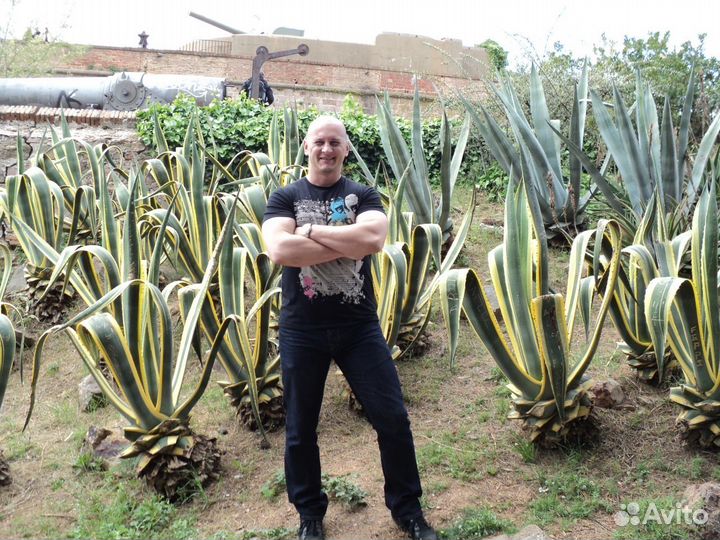 Супервайзер, торговый представитель