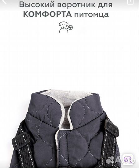 Одежда для собак