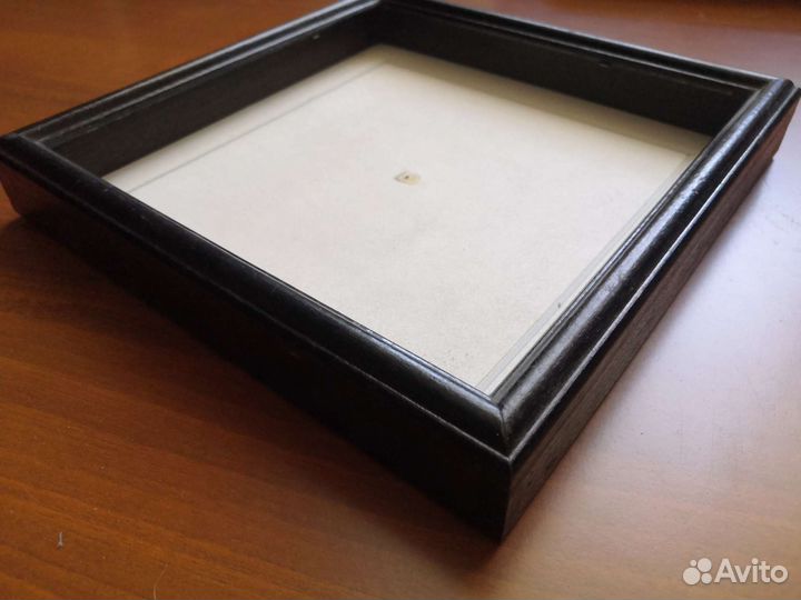 Бабочка в рамке