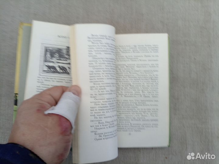 Нинель Максименко. Праздники и будни поэта Николая