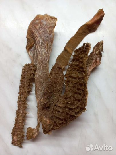 Лакомства и вкусняшки для собак. Доставка