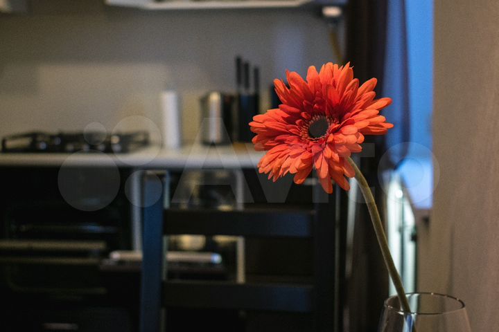 Квартира-студия, 32 м², 4/5 эт.