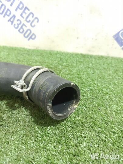 Патрубок системы охлаждения Toyota Corolla