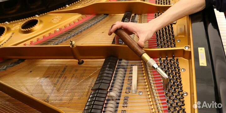 Настройка и ремонт пианино (фортепиано)