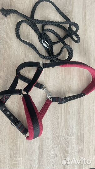 Недоуздок и чомбур для лошади