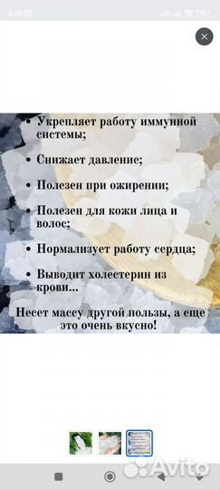 Индийский морской рис(гриб зооглея)