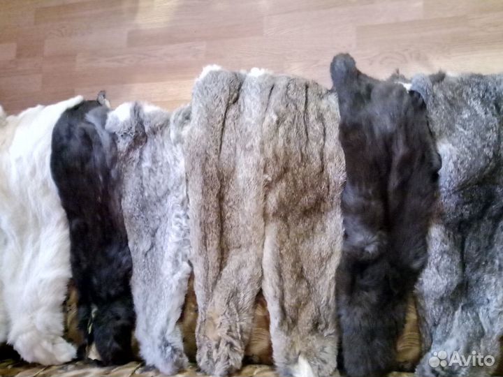 Шкурки кроличьи