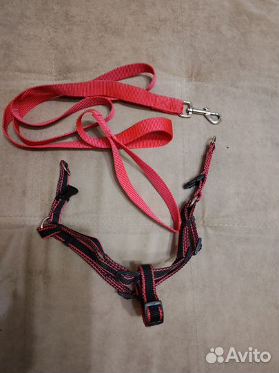 Поводок и шлейка для собаки