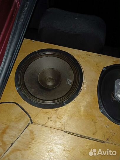 Динамики 25см