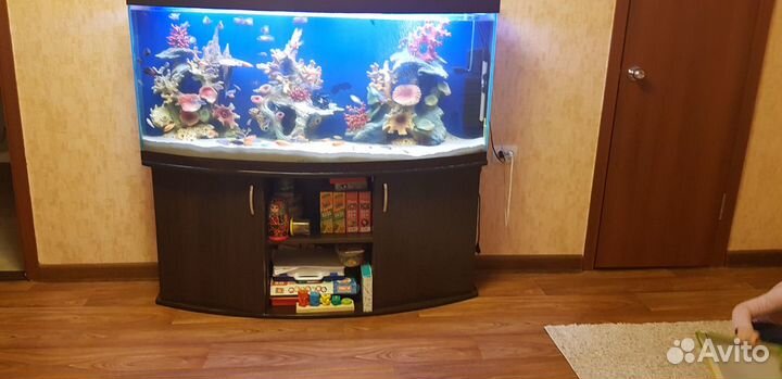 Аквариум 350 литров, со всеми декорациями+тумба
