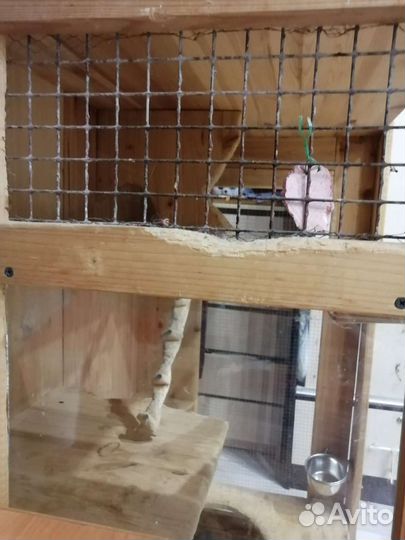 Клетка для шиншиллы
