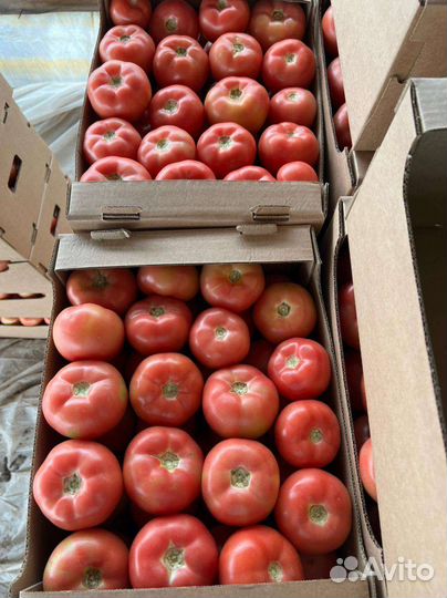 Доставка продуктов питания