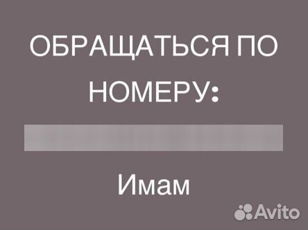 Продаются овцы