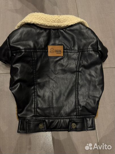 Кожаная куртка для собак