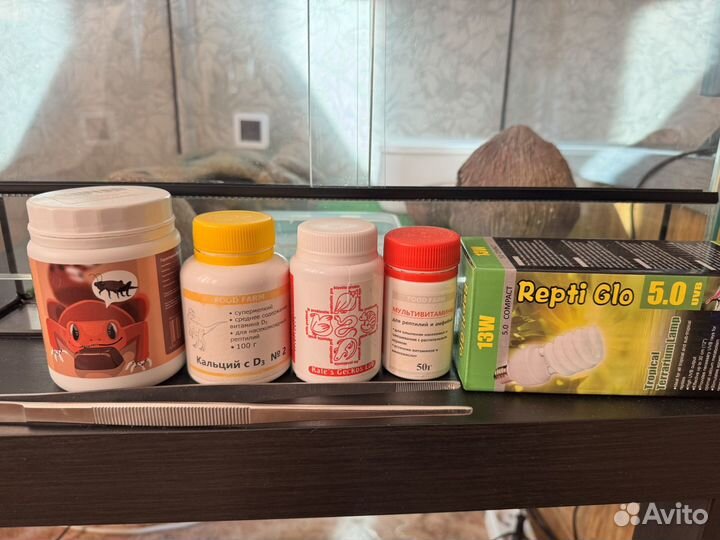 Террариум с эублефаром