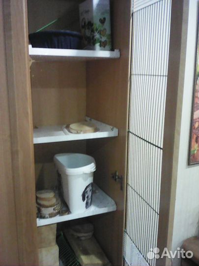 Клетка витрина