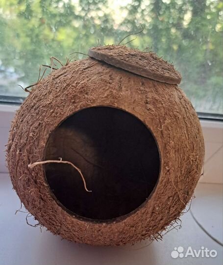 Домик для попугаев