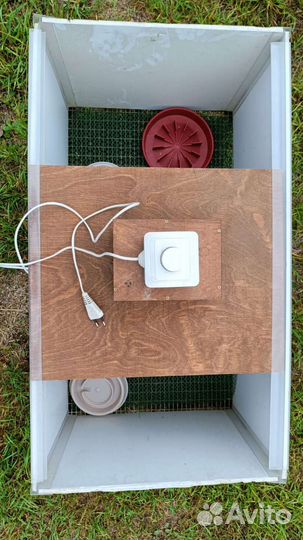 Брудер для цыплят