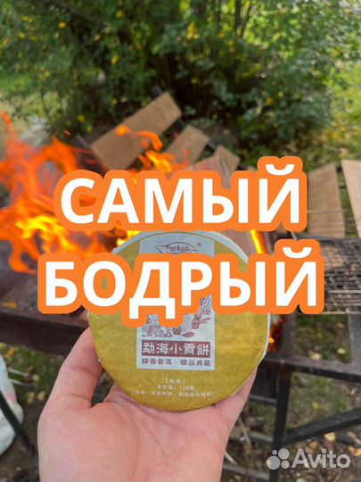 Бодрый Чай
