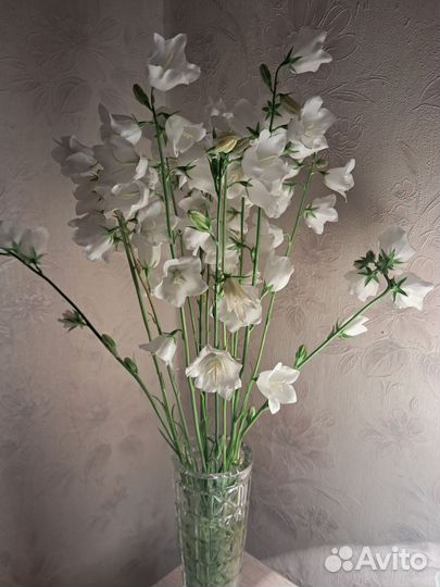 Излишки растений