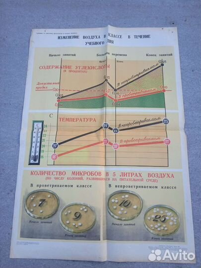 Учебные плакаты СССР по анатомии 1965 год