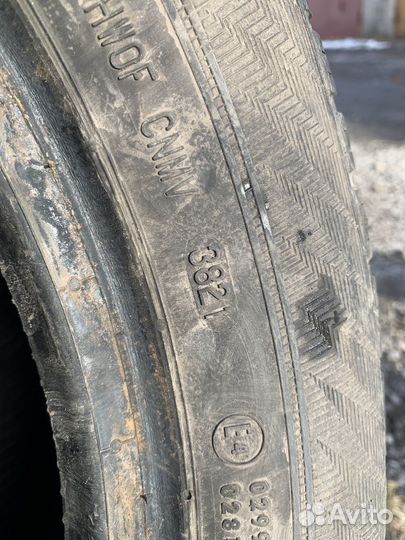 Gislaved Euro Frost 6 205/55 R16