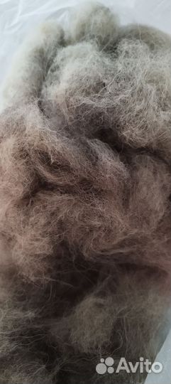 Собачья шерсть