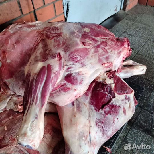 Обрези для собак