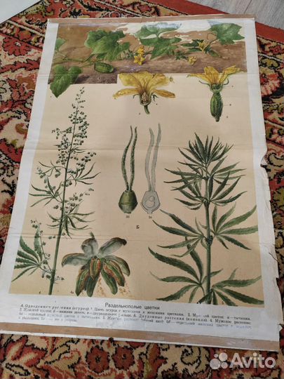 Школьные плакаты СССР