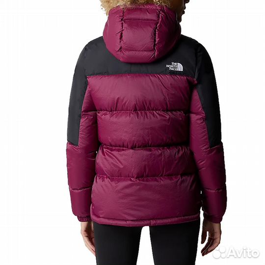 THE north face Apparel Collection Down Jacket Women's Purple (S)(87)