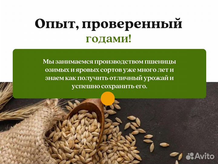 Пшеница Размол (кг)