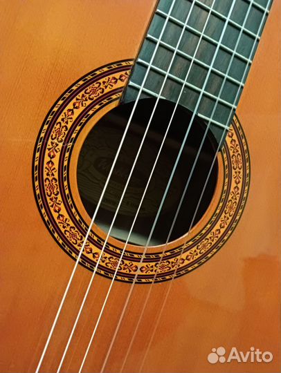 Классическая гитара Washburn