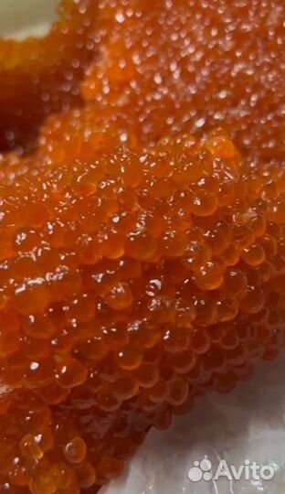 Красная икра оптом