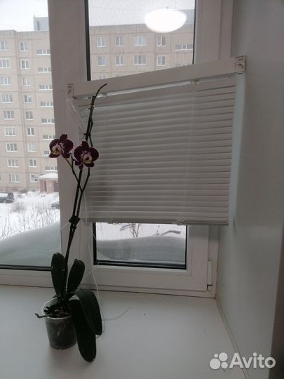 Жалюзи вертикальные бу