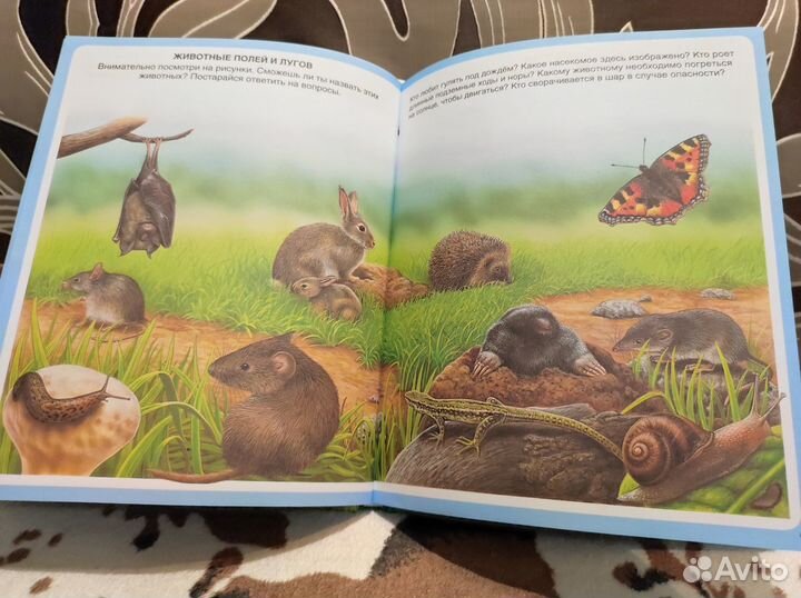 Книга о животных