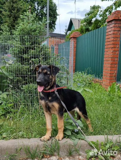 Хочу к мамочке