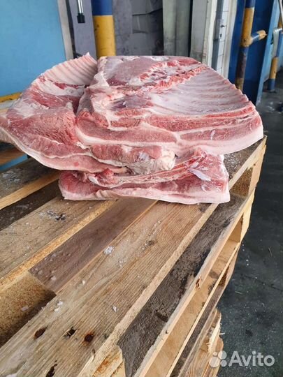 Мясо свинины, вырезка,окорок,карбонат,лопатка