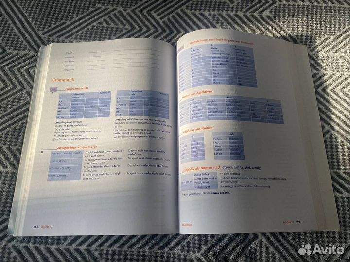 Delfin Hueber B1 учебник+тетрадь в одной книге