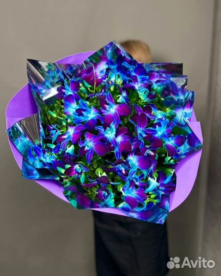 Букеты с Космическими Орхидеями