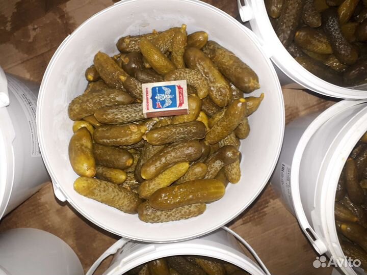 Огурцы бочковые, хрустящие очень вкусные